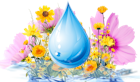 Sprinkler Systems Repairs