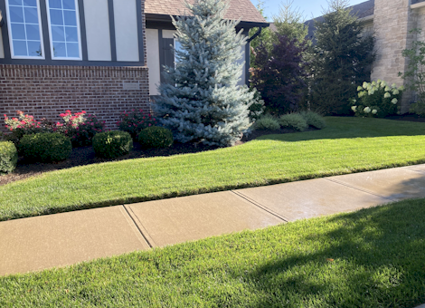 Irrigation Services